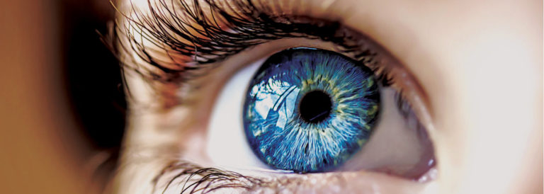 ophthalmic instruments, macular degeneration